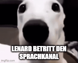 A White Dog With A Black Nose And The Words Lenard Betritt Den Sprachkanal Written On It . GIF