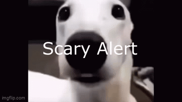 A White Dog With A Black Nose Is Looking At The Camera With The Words `` Scary Alert '' Written On It . GIF