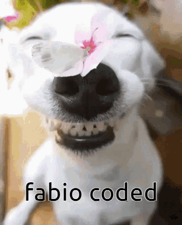 A White Dog With A Flower In Its Nose And The Words Fabio Coded Below It . GIF