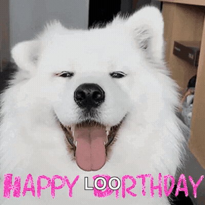 A White Dog With Its Tongue Out And The Words Happy Loorthday Written On It GIF