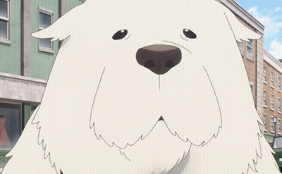 A White Dog With Its Tongue Out Is Standing In Front Of A Brick Building GIF