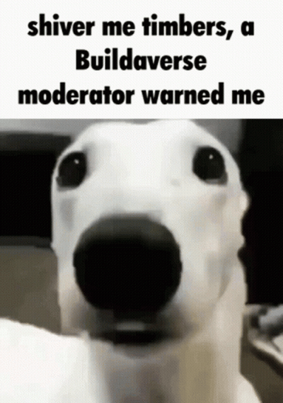 A White Dog With The Words Shiver Me Timbers , A Buildaverse Moderator Warned Me On Its Face . GIF