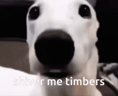 A White Dog With The Words Shiver Me Timbers On The Bottom GIF