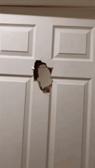 A White Door With A Hole In It And A Piece Of Paper Sticking Out GIF
