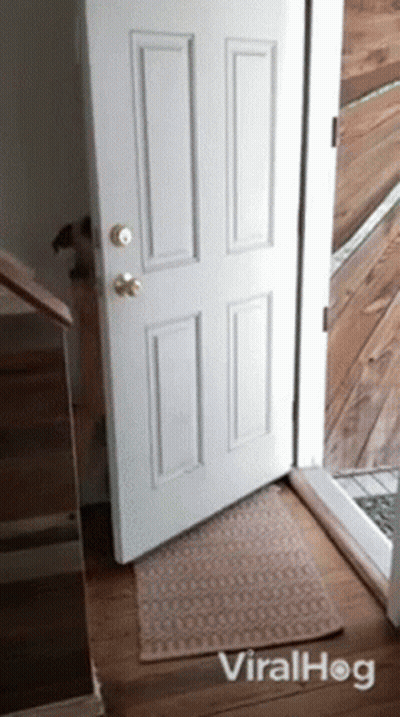 A White Door With A Rug In Front Of It And The Word Viralhog On The Bottom GIF