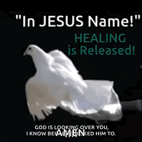 A White Dove Is Being Held In Someone 'S Hand With The Words " In Jesus Name ! " GIF