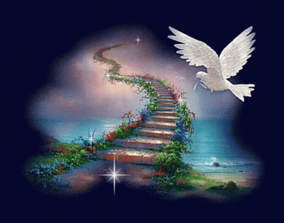 A White Dove Is Flying Over A Staircase That Leads To The Ocean GIF