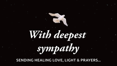 A White Dove Is Flying Over The Words With Deepest Sympathy Sending Healing Love Light & Prayers GIF