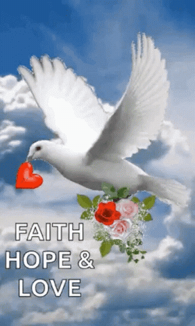 a white dove is flying with a red heart in its beak