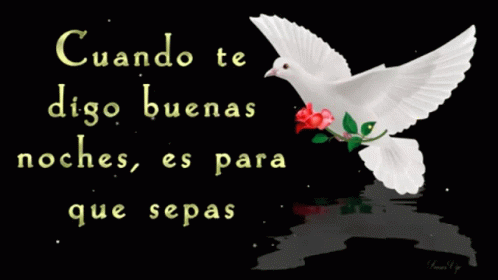A White Dove With A Red Rose Is Flying In Front Of A Black Background That Says Que Eres Mi Ultimo GIF