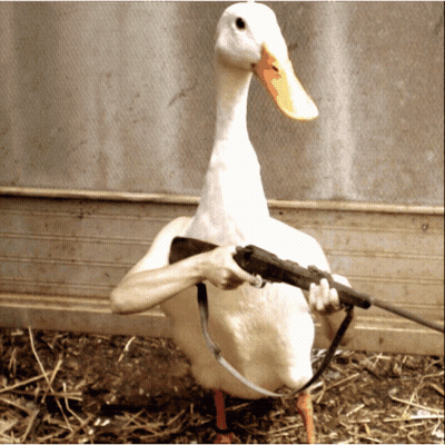 A White Duck Is Holding A Gun With A Strap Around Its Neck GIF
