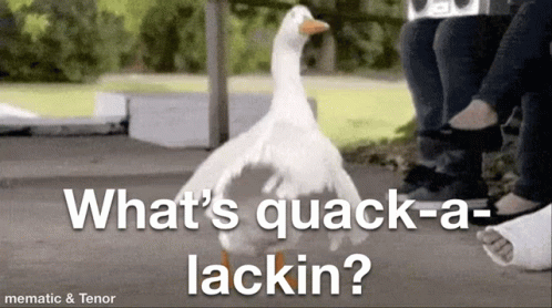 A White Duck Is Standing In Front Of A Group Of People With The Words `` What 'S Quack-A-Lackin '' . GIF