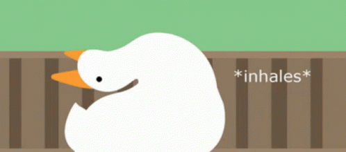 A White Duck With An Orange Beak Is Standing Next To A Fence And The Word Inhales Below It GIF