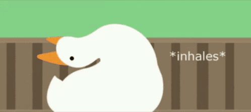 A White Duck With An Orange Beak Is Standing Next To A Fence With The Words * Inhales * On It GIF