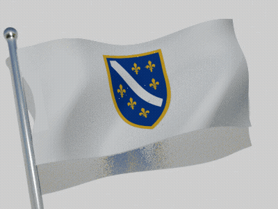 A White Flag With A Blue Shield And Gold Fleur De Lis GIF