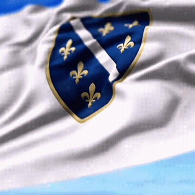 A White Flag With Blue And Gold Fleur De Lis Emblems GIF