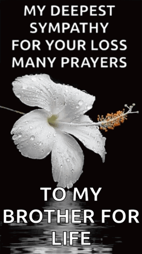 A White Flower On A Black Background With The Words " My Deepest Sympathy For Your Loss Many Prayers " GIF