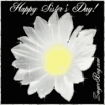 A White Flower With A Yellow Center Is On A Black Background With The Words `` Happy Sister 'S Day '' Written On It . GIF