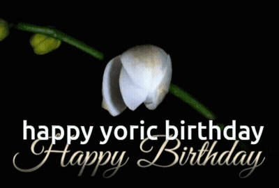 A White Flower With The Words Happy Yoric Birthday Written Below It GIF