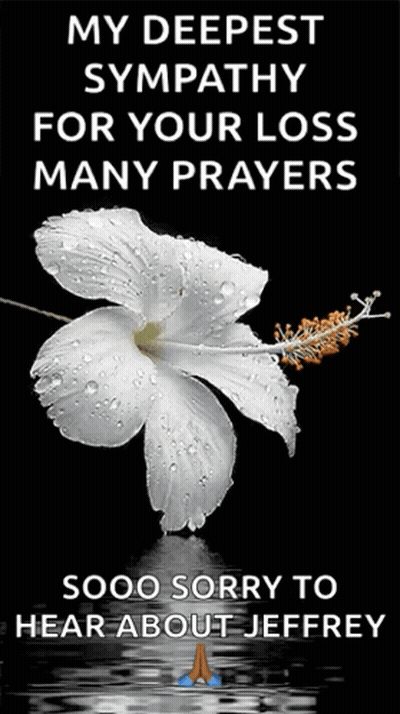 A White Flower With Water Drops On It Is On A Black Background GIF