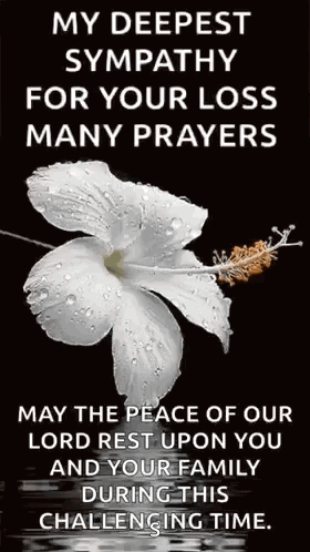 A White Flower With Water Drops On It Is On A Black Background With A Message . GIF