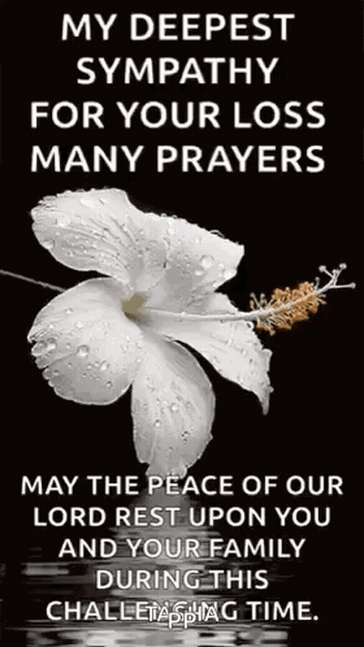 A White Flower With Water Drops On It Is On A Black Background With A Prayer . GIF