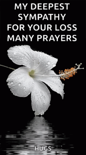 A White Flower With Water Drops On It Is On A Black Background With The Words My Deepest Sympathy For Your Loss Many Pra GIF