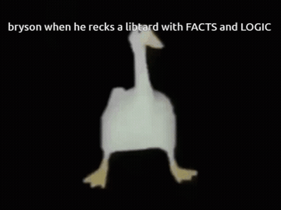 A White Goose Is Walking On A Black Background With A Caption That Says Bryson When He Recks A Libtard GIF