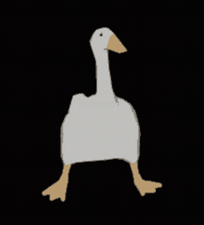 A White Goose With A Brown Beak Is Walking On A Black Background . GIF