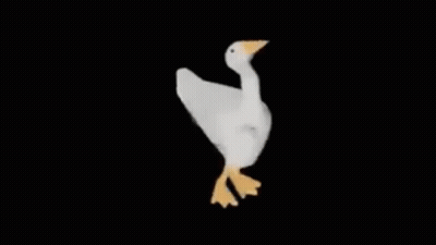 A White Goose With A Yellow Beak Is Standing On Its Hind Legs . GIF