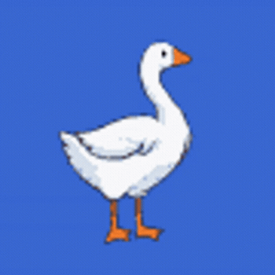A White Goose With An Orange Beak Is Standing On A Blue Background And Talking . GIF