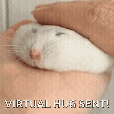 A White Hamster Is Being Held In A Person 'S Hand With The Words Virtual Hug Sent Below It GIF