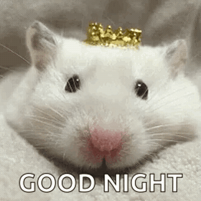 A White Hamster With A Crown On Its Head Is Laying On A Blanket . GIF