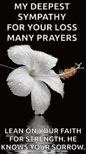 A White Hibiscus Flower With Water Drops On It Is On A Black Background With A Quote . GIF