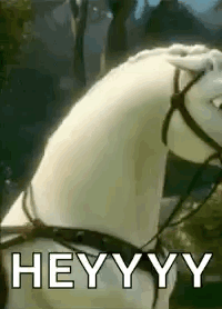 A White Horse Wearing A Bridle And A Saddle Is Standing In Front Of A Forest . GIF