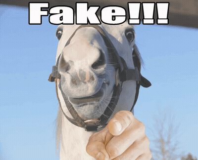 A White Horse With A Bridle And A Hand Pointing At It With Fake Written Above It GIF