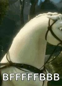 A White Horse With A Bridle Is Standing In A Field . GIF