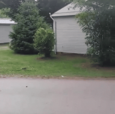 A White House Sits In The Middle Of A Lush Green Field GIF