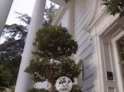 A White House With A Tree In Front Of It And A Sign That Says Ica On It GIF