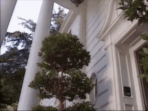 A White House With A Tree In Front Of It And Columns . GIF