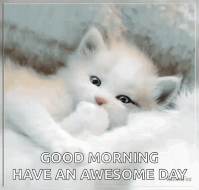 A White Kitten Is Laying On A White Blanket With The Words Good Morning Have An Awesome Day . GIF