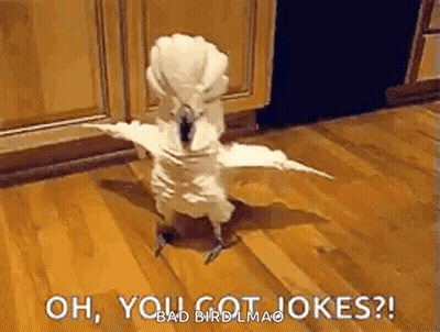 A White Parrot Is Standing On A Wooden Floor With Its Wings Outstretched And Says Oh , You Got Jokes ? GIF
