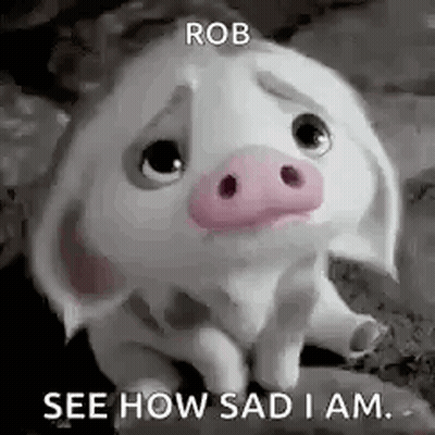 A White Pig With A Pink Nose Is Sitting On A Rock And Looking Sad . GIF