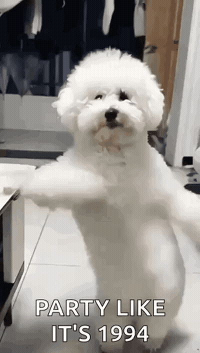 A White Poodle Is Standing On Its Hind Legs And Says Party Like It 'S 1994 GIF