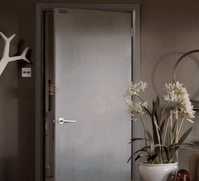 A White Potted Plant Sits In Front Of A Door That Has A Sticker On It That Says ' A ' GIF