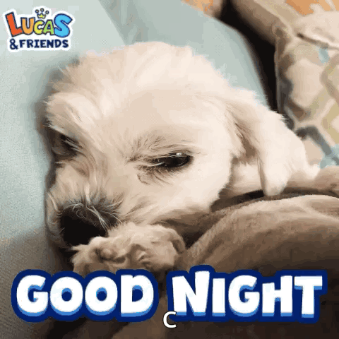 A White Puppy Is Laying On A Bed With The Words " Good Night " Below It GIF