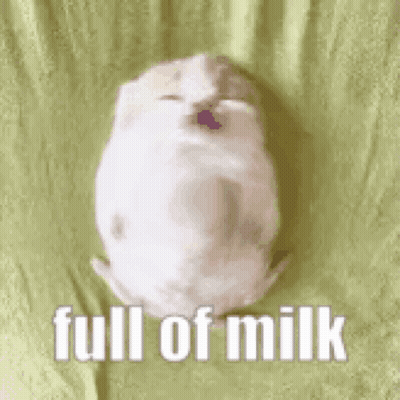 A White Puppy Is Sleeping On A Green Blanket With The Words `` Full Of Milk '' Written Above It . GIF