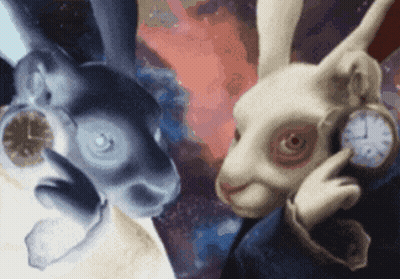 A White Rabbit Is Holding A Pocket Watch While Another Rabbit Looks On GIF