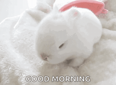 A White Rabbit Is Laying On A White Blanket With The Words Good Morning Written On The Bottom GIF
