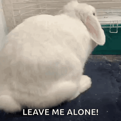 A White Rabbit Is Sitting In A Cage With The Words `` Leave Me Alone '' Written Above It . GIF
